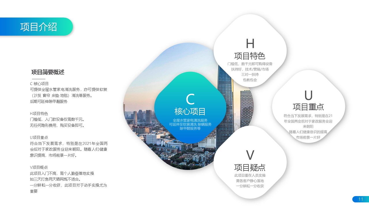 項(xiàng)目詳細(xì)介紹書(圖11)