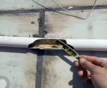 PPR塑料水管難道不用清洗嗎？如何正確清洗塑料